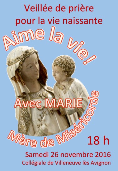 vie-naissante-2016a-affiche-retenue