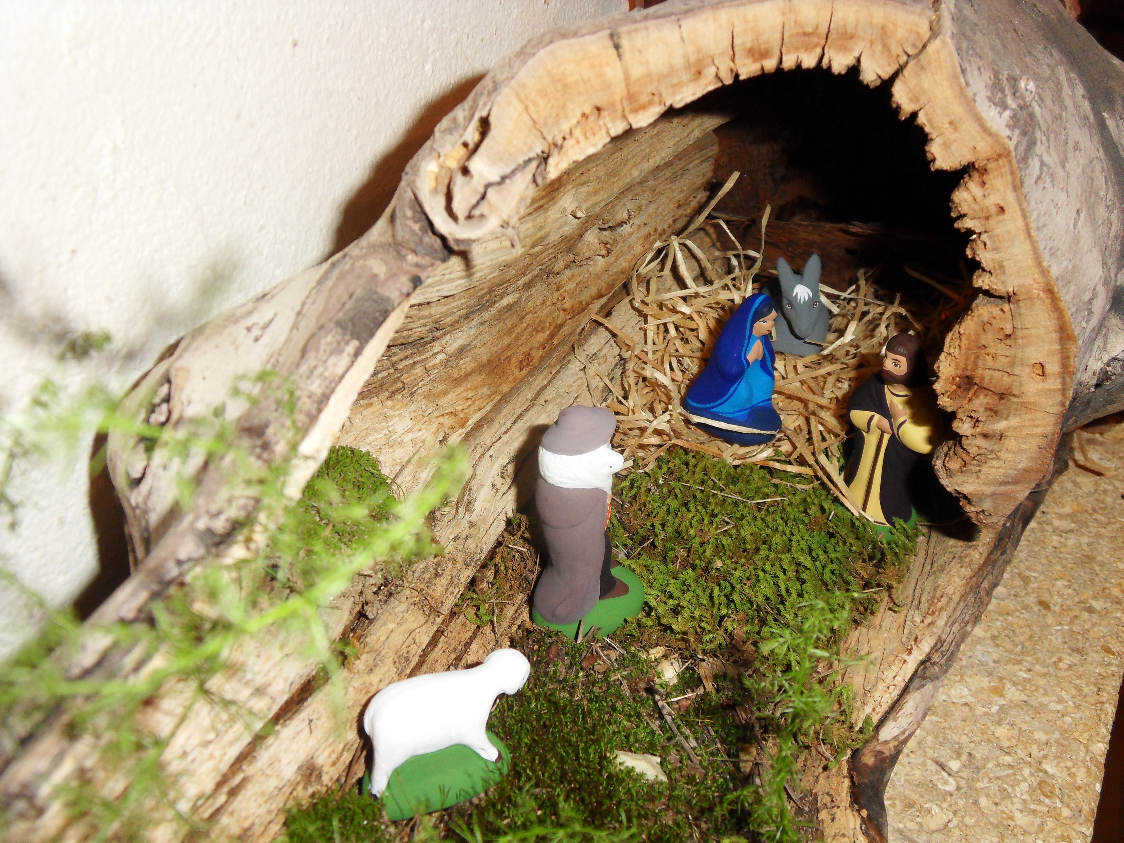 SAMSUNG DIGITAL CAMERA