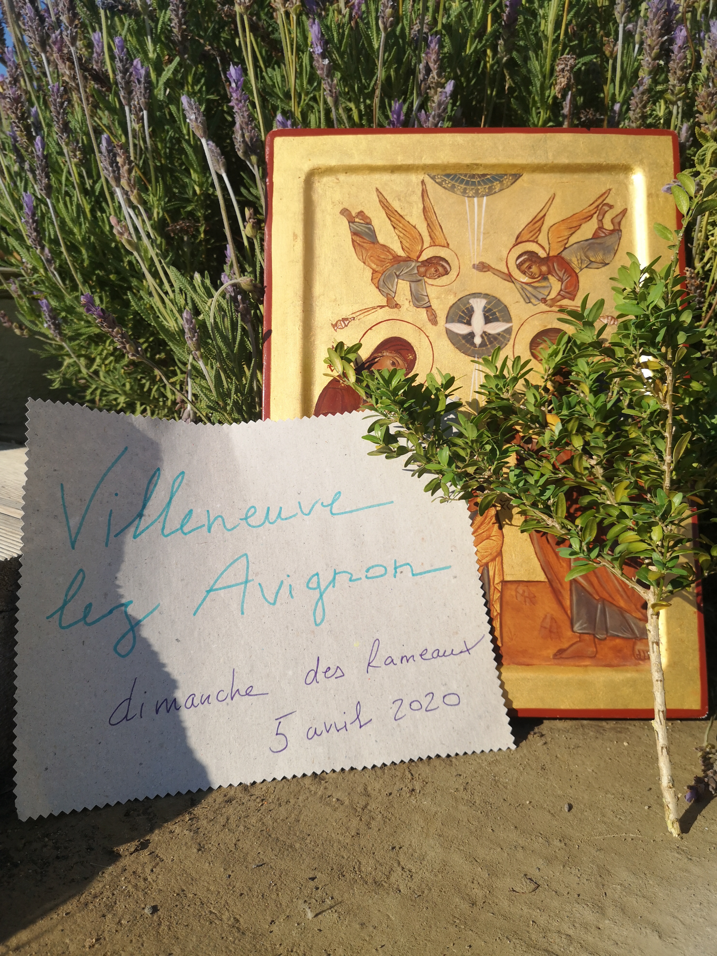 Rameaux des Hauts de Villeneuve